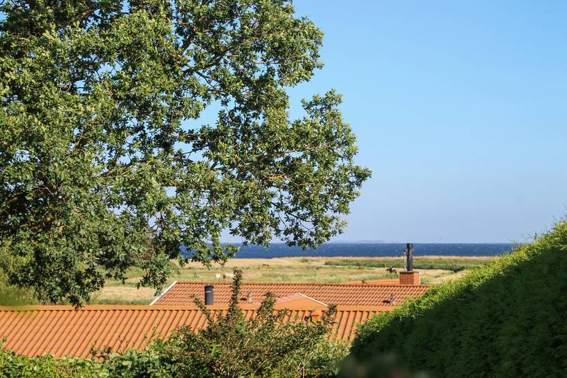 Foto von Ferienhaus WP47 auf Løkkeby - Langeland