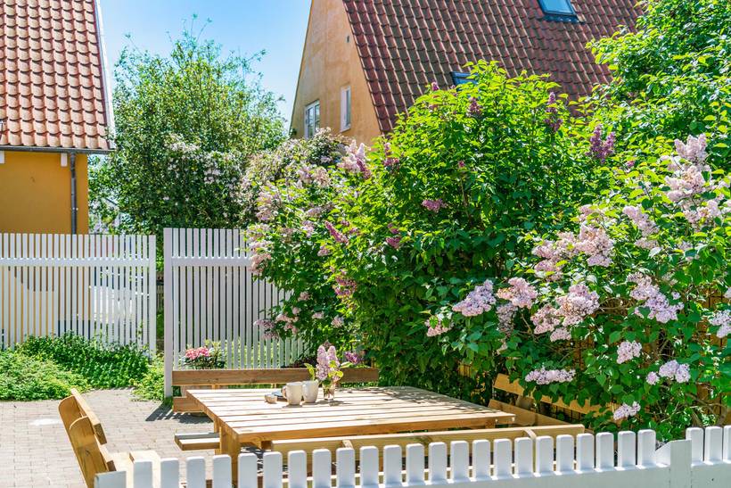 Foto von Ferienhaus WP97 in Skagen - Nordjütland
