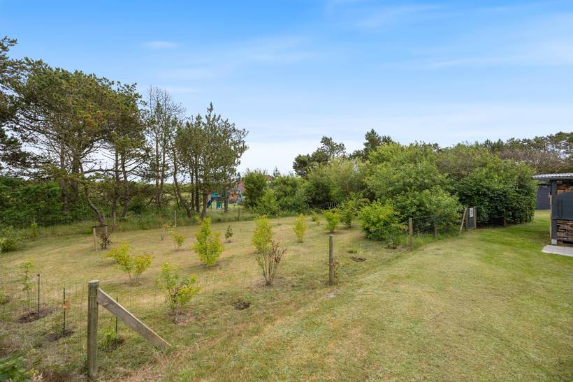 Foto von Ferienhaus WR59 in Lodbjerg Hede - Søndervig - Westjütland
