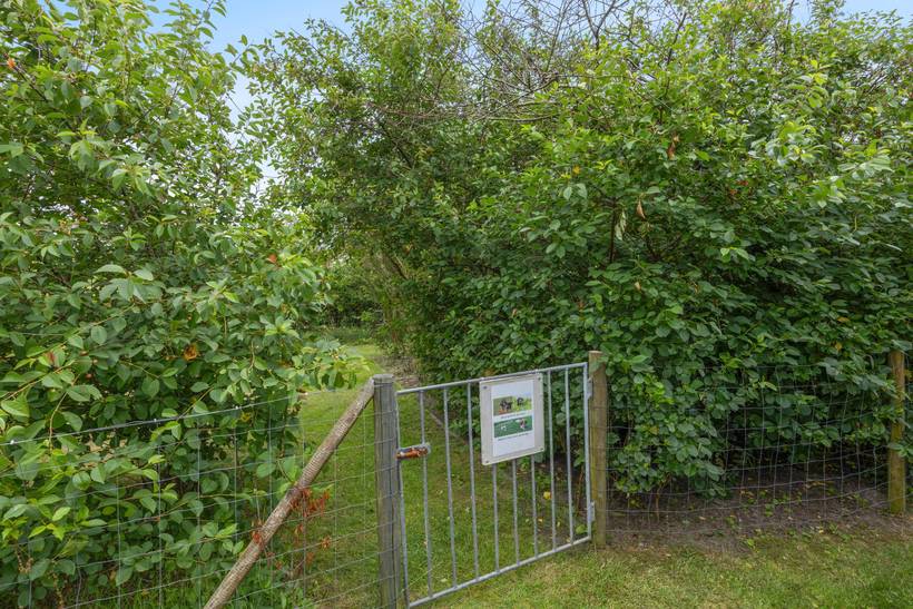 Foto von Ferienhaus WR59 in Lodbjerg Hede - Søndervig - Westjütland