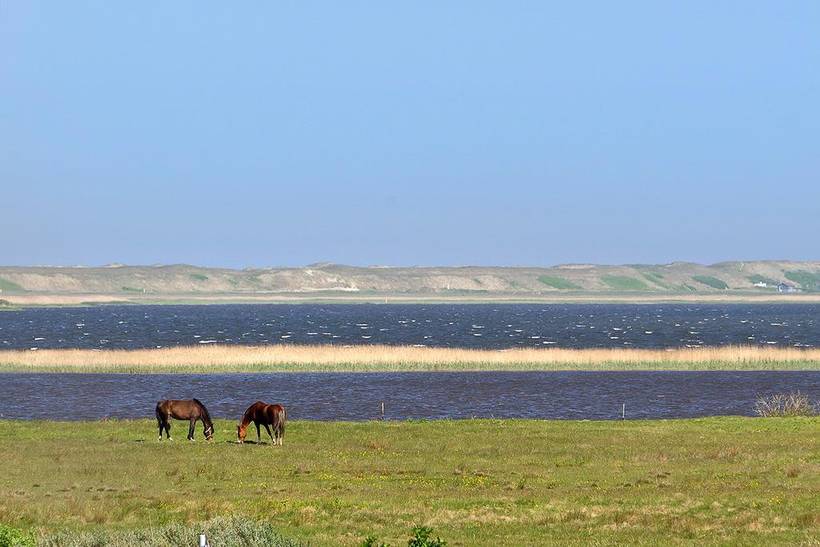 Foto von Ferienhaus WR87 in Fjand - Westjütland