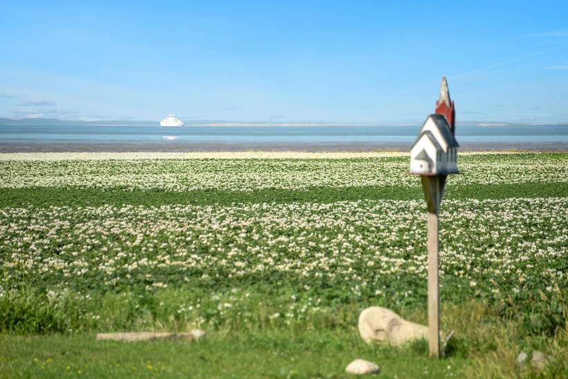 Foto von Ferienhaus WS24 in Ballum - Südjütland