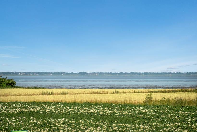 Foto von Ferienhaus WS24 in Ballum - Südjütland