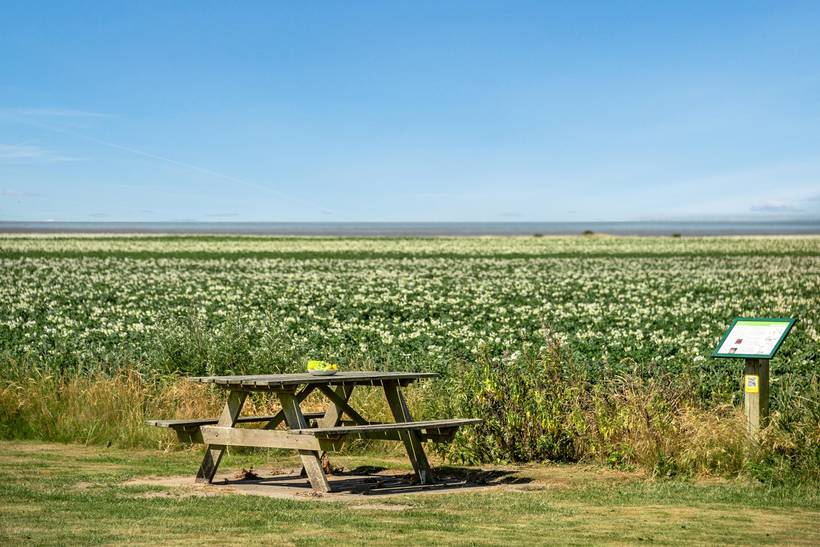 Foto von Ferienhaus WS24 in Ballum - Südjütland
