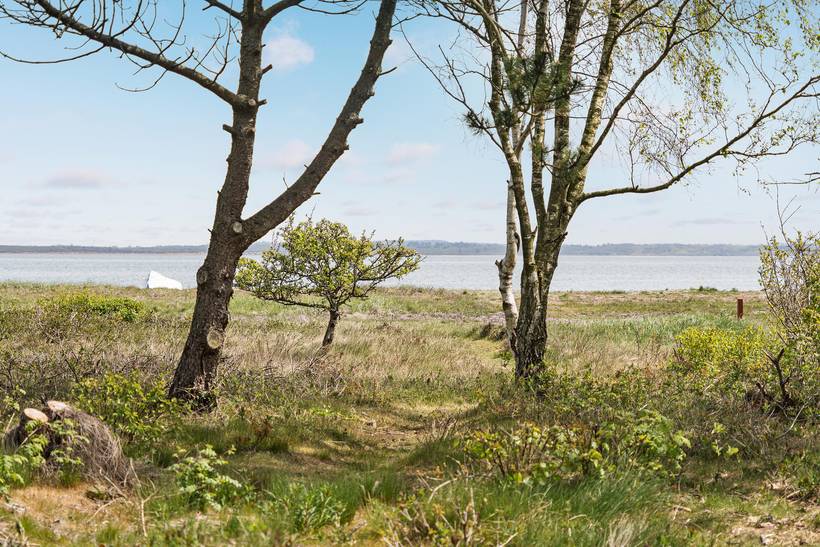 Foto von Ferienhaus WS57 in Søndbjerg - Thy/Limfjord