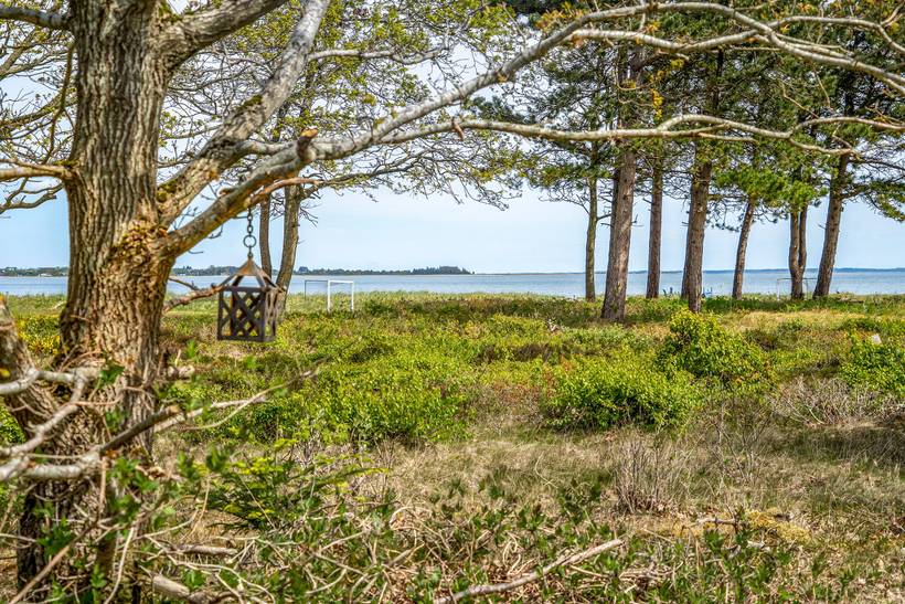 Foto von Ferienhaus WS57 in Søndbjerg - Thy/Limfjord