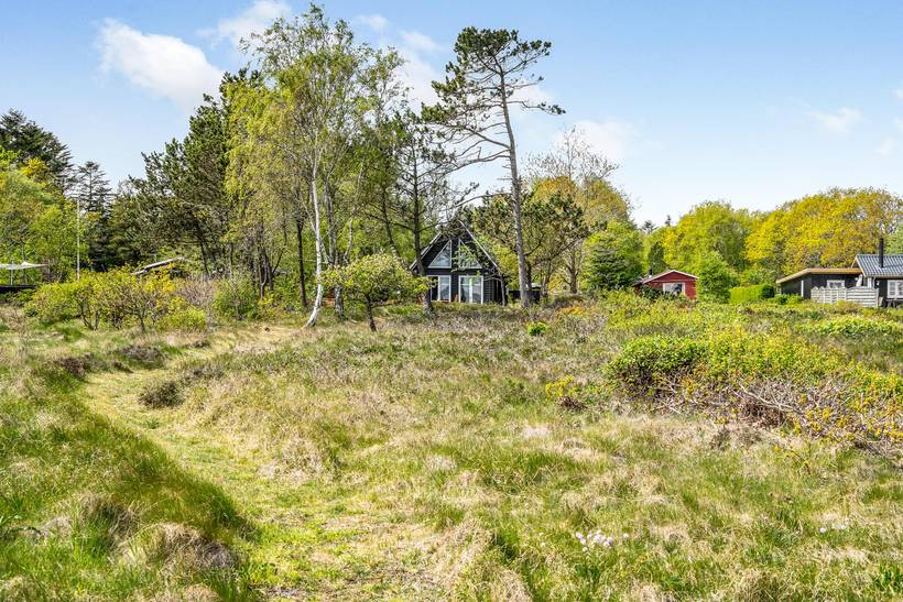 Foto von Ferienhaus WS57 in Søndbjerg - Thy/Limfjord