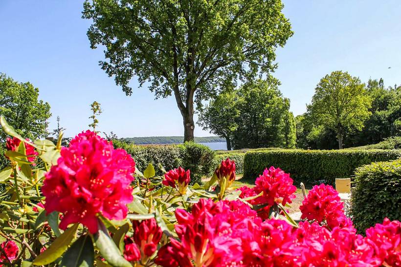 Foto von Ferienhaus WS71 in Kollund - Südjütland
