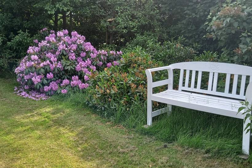 Foto von Ferienhaus WT82 in Vesterø - Læsø