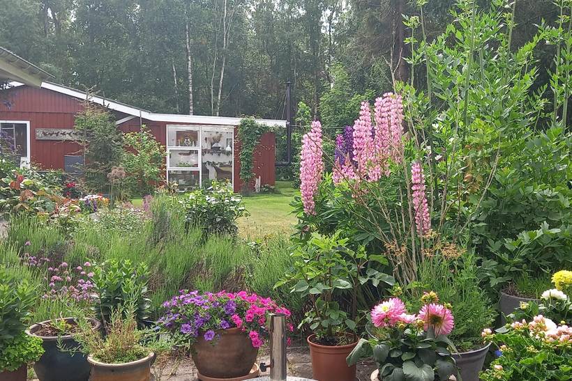 Foto von Ferienhaus WT82 in Vesterø - Læsø