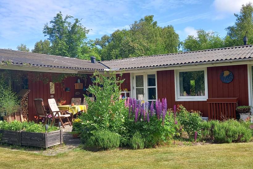 Foto von Ferienhaus WT82 in Vesterø - Læsø