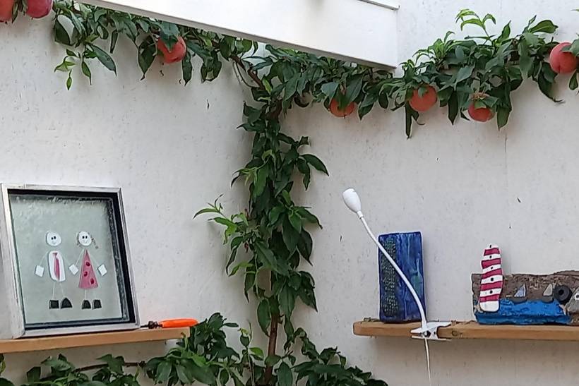 Foto von Ferienhaus WT82 in Vesterø - Læsø