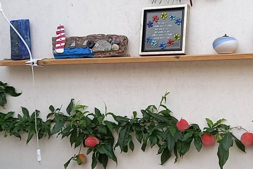 Foto von Ferienhaus WT82 in Vesterø - Læsø