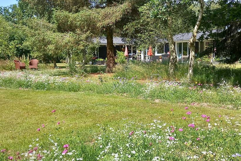 Foto von Ferienhaus WT82 in Vesterø - Læsø