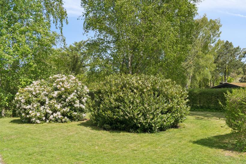 Foto von Ferienhaus WT90 in Smidstrup - Gilleleje - Nordseeland