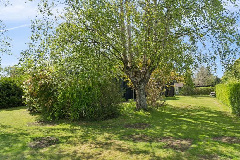 Foto von Ferienhaus WT90 in Smidstrup - Gilleleje - Nordseeland