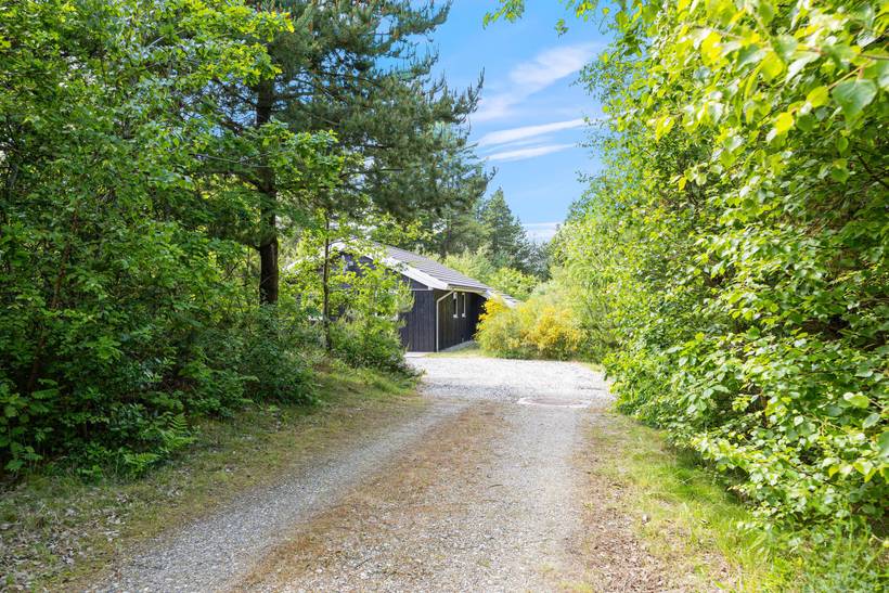 Foto von Ferienhaus WU27 in Lodbjerg Hede - Søndervig - Westjütland