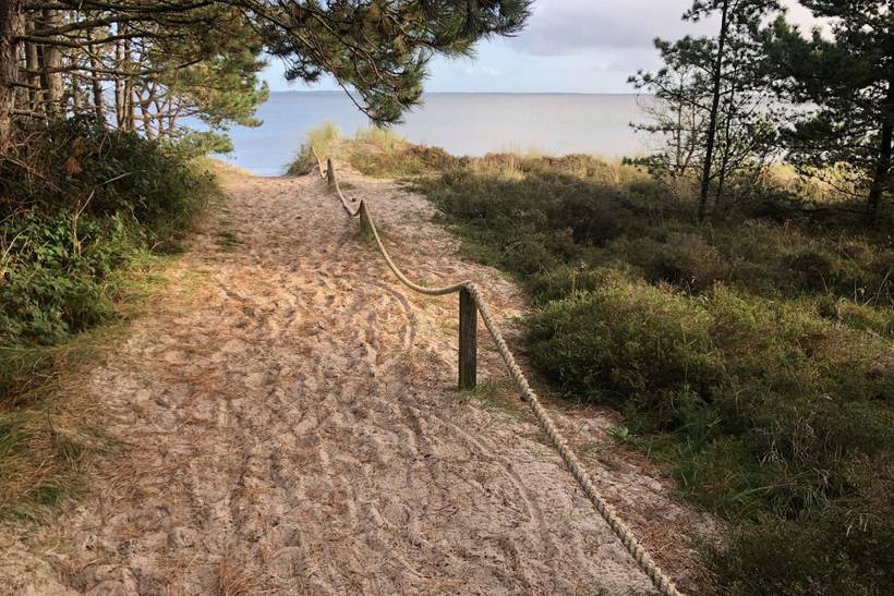 Foto von Ferienhaus WU46 in Kromose - Rømø