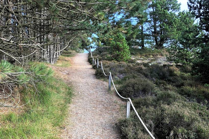 Foto von Ferienhaus WU46 in Kromose - Rømø