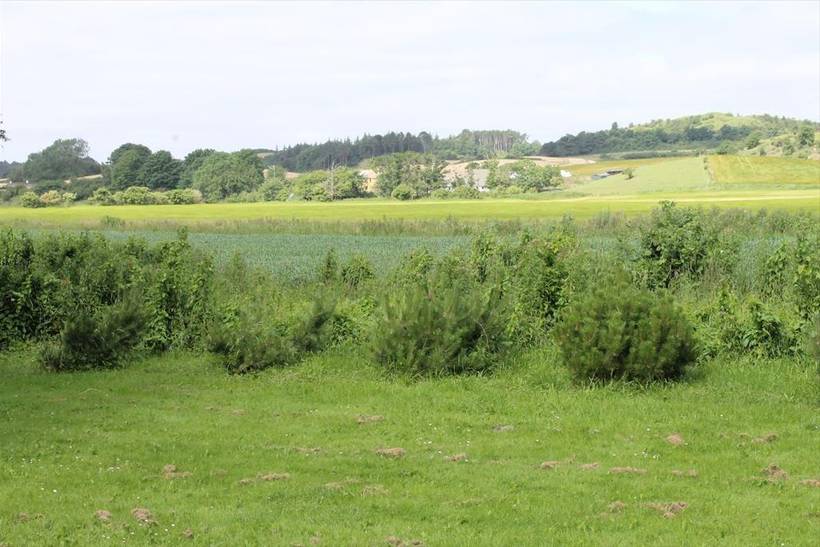 Foto von Ferienhaus WV07 in Fuglslev - Ebeltoft - Ostjütland