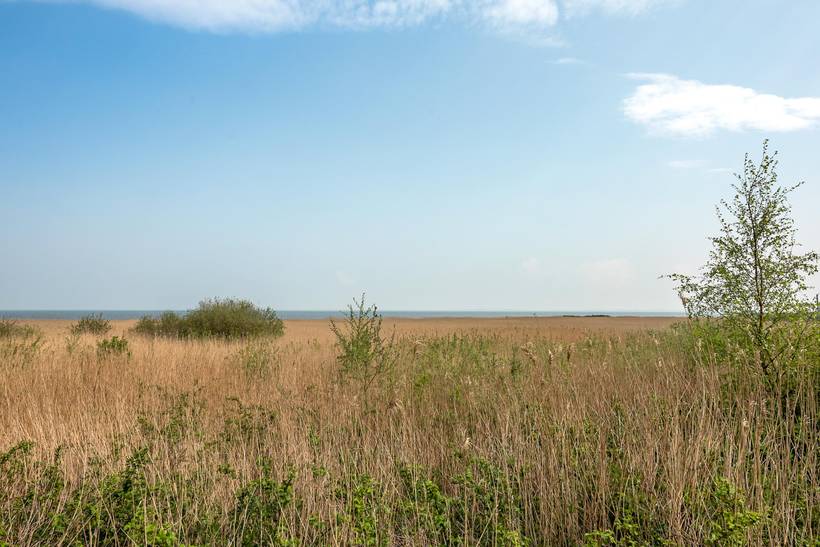 Foto von Ferienhaus WV74 in Havneby - Rømø