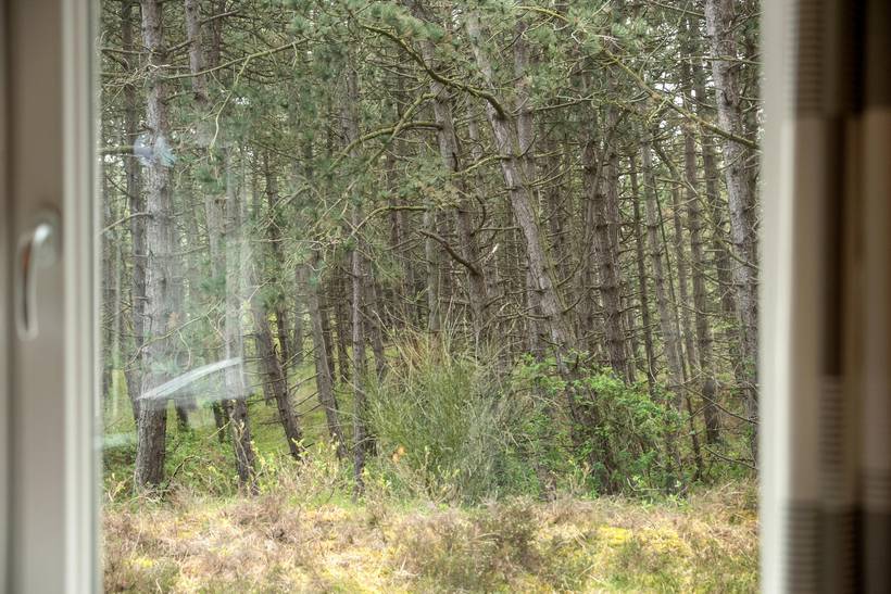 Foto von Ferienhaus WV74 in Havneby - Rømø