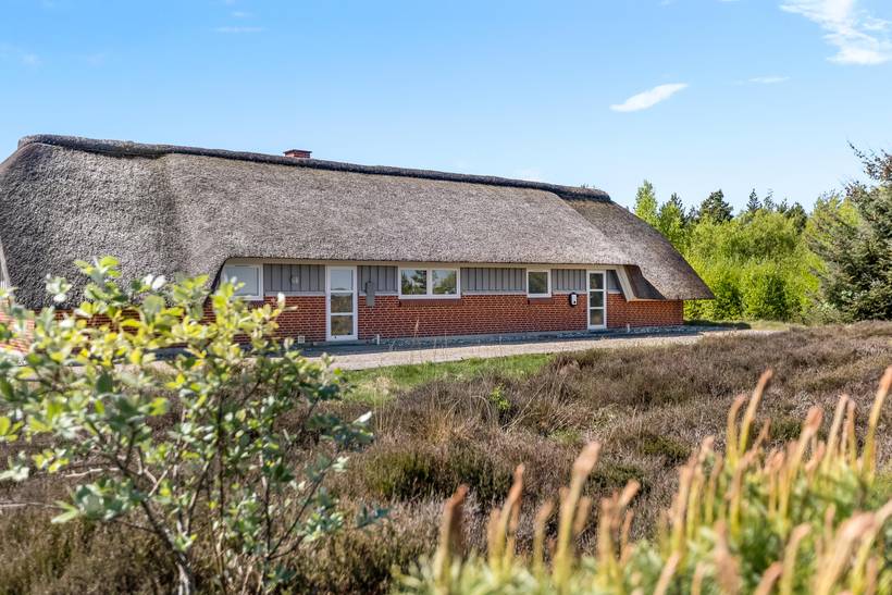 Foto von Ferienhaus WV97 in Kongsmark - Rømø