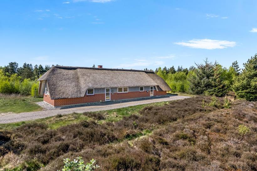 Foto von Ferienhaus WV97 in Kongsmark - Rømø