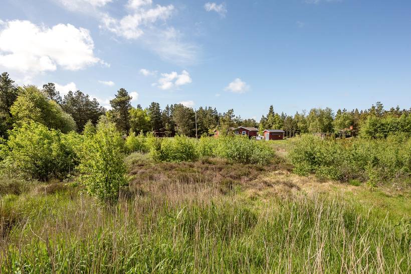 Foto von Ferienhaus WV97 in Kongsmark - Rømø