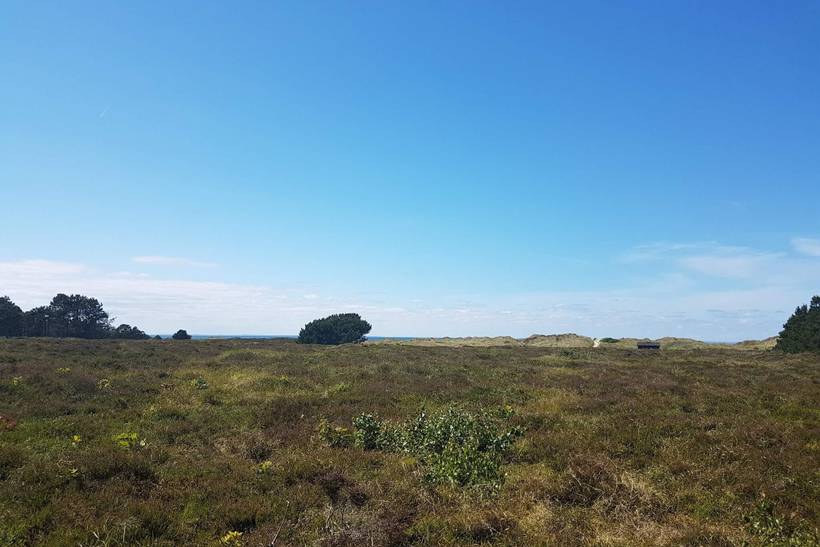 Foto von Ferienhaus WW30 in Vesterø - Læsø