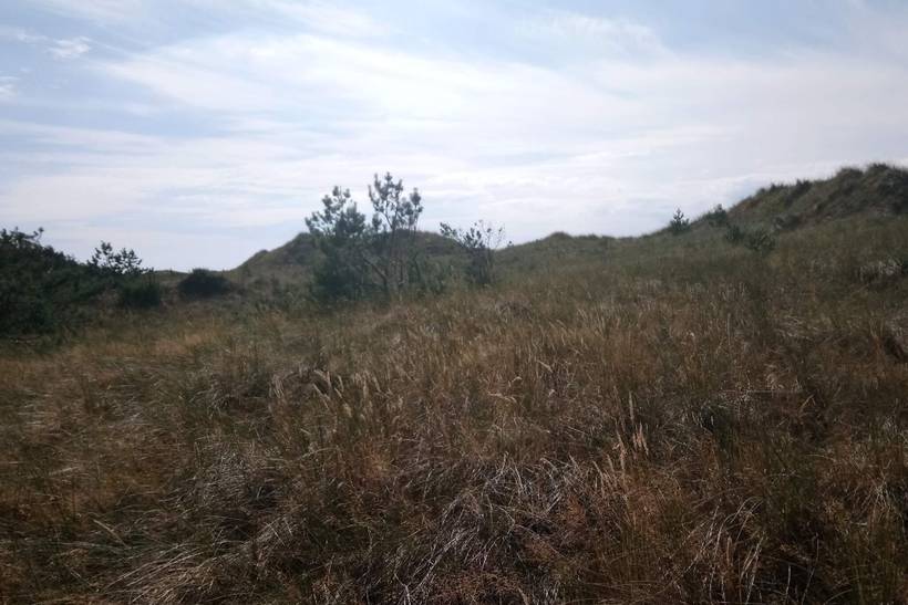 Foto von Ferienhaus WW30 in Vesterø - Læsø