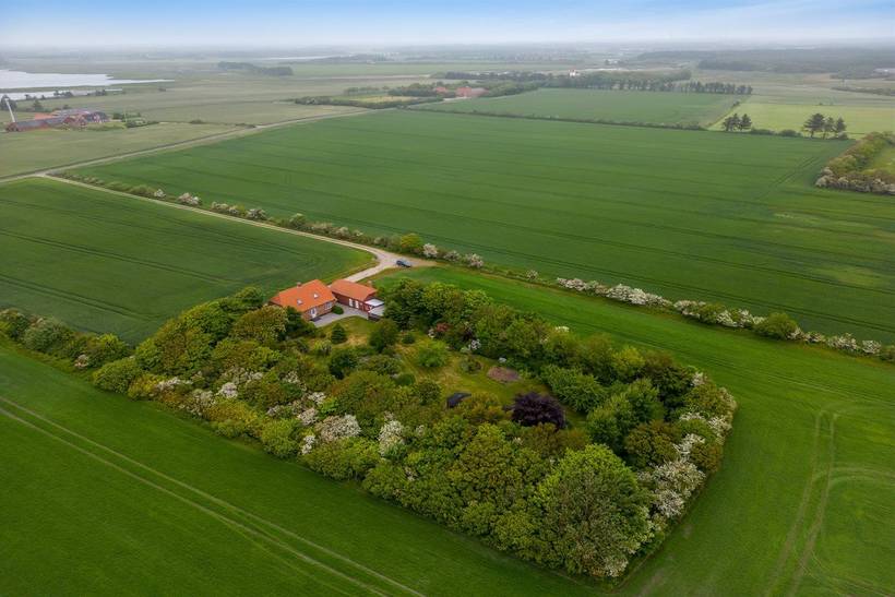 Foto von Ferienhaus WW76 in Skalstrup - Westjütland