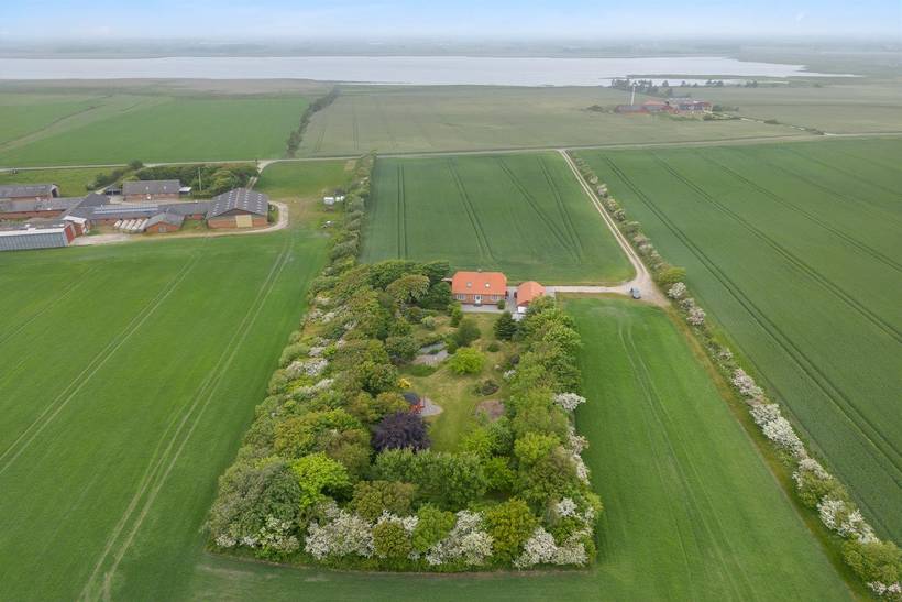 Foto von Ferienhaus WW76 in Skalstrup - Westjütland