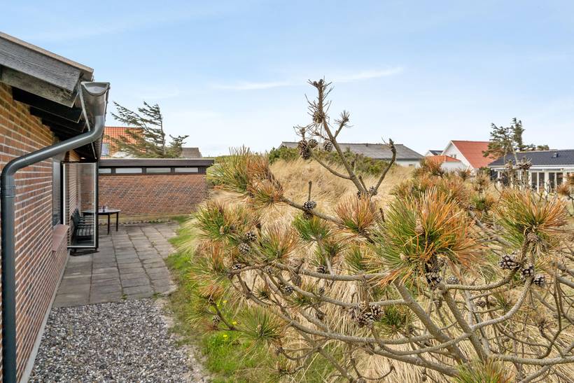 Foto von Ferienhaus WX05 in Klitmøller - Thy/Limfjord