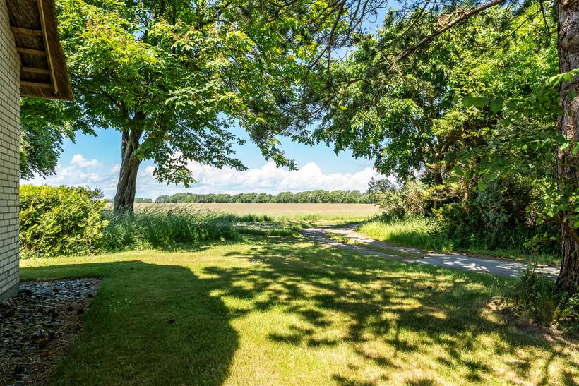 Foto von Ferienhaus WX34 in Gedesby - Falster