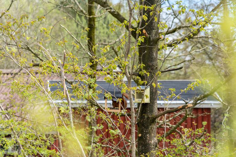 Foto von Ferienhaus WY15 in Arrild - Südjütland
