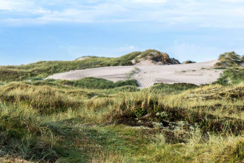 Foto von Ferienhaus WY31 in Søndervig - Westjütland