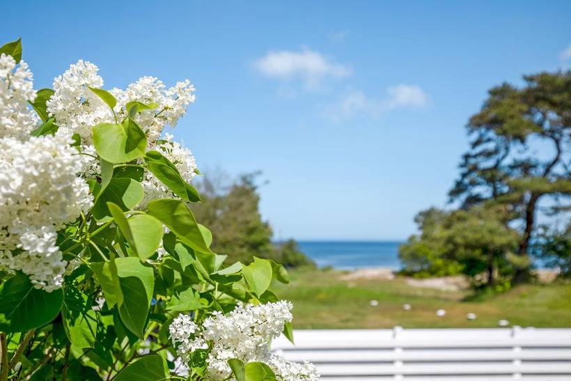 Foto von Ferienhaus WY49 in Gudhjem - Bornholm