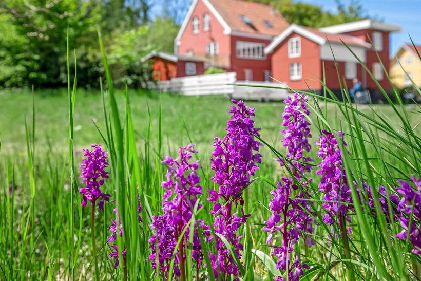 Foto von Ferienhaus WY49 in Gudhjem - Bornholm
