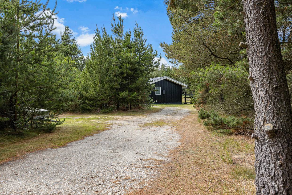 Foto von Ferienhaus WY98 in Ho - Blåvand - Westjütland
