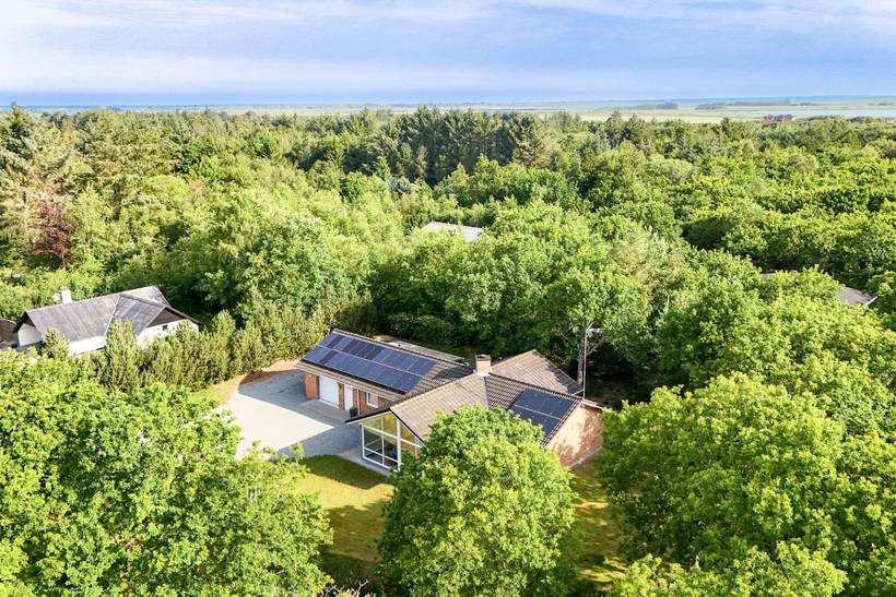 Foto von Ferienhaus WZ70 in Lodbjerg Hede - Søndervig - Westjütland
