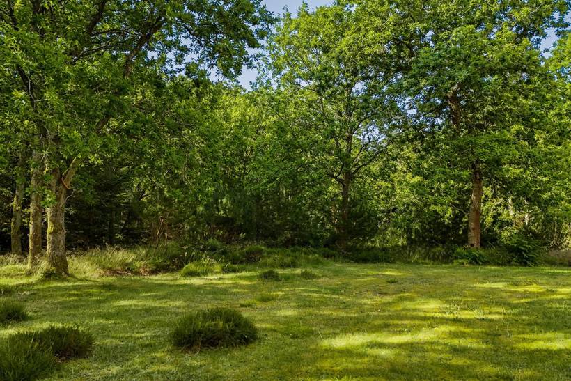 Foto von Ferienhaus WZ70 in Lodbjerg Hede - Søndervig - Westjütland