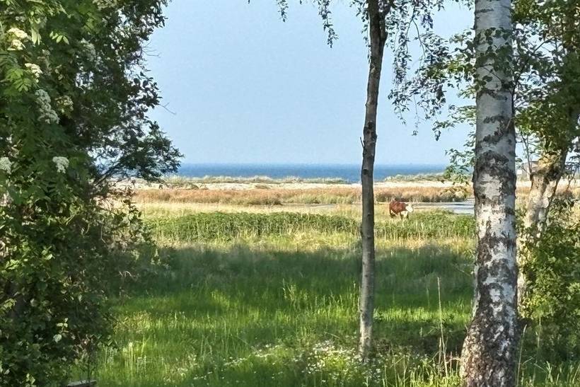 Foto von Ferienhaus XA00 in Strandsiden - Rørvig - Westseeland