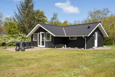 Vorschaubild von Ferienhaus XA59 in Skaven - Westjütland