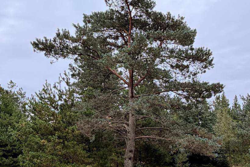 Foto von Ferienhaus XB12 in Houstrup - Westjütland