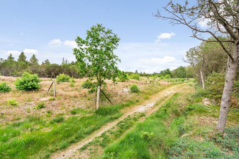 Foto von Ferienhaus XC63 in Houstrup - Westjütland