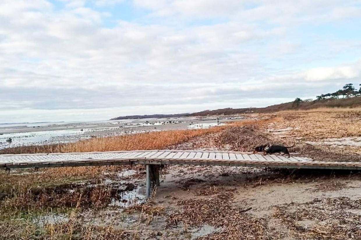 Foto von Ferienhaus XD27 auf Skibby - Nordseeland