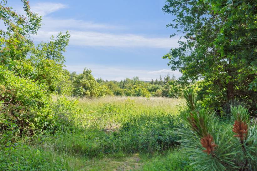 Foto von Ferienhaus XD34 in Fur - Thy/Limfjord