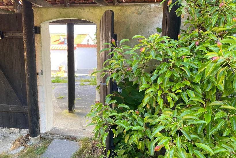 Foto von Ferienhaus XD70 in Vesterø - Læsø