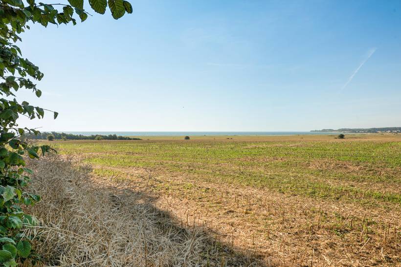Foto von Ferienhaus XD85 in Flovt - Südjütland